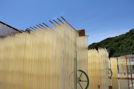 手延そうめん館 の写真