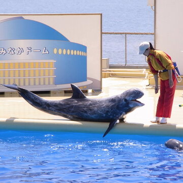 マリンワールド海の中道 の写真