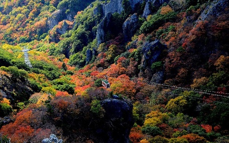 寒霞渓 の写真