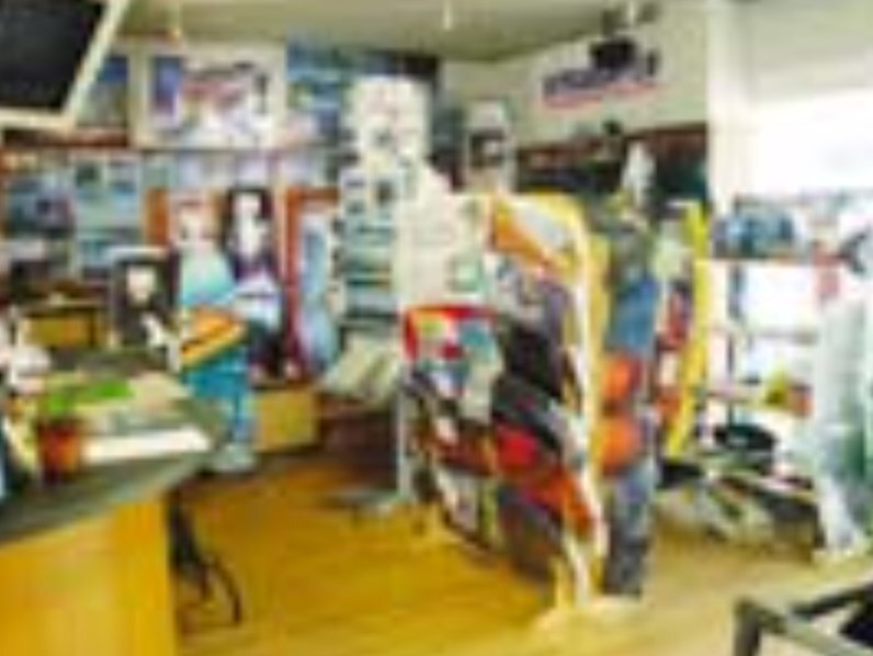 スポット 屋島マリーナ の写真 2