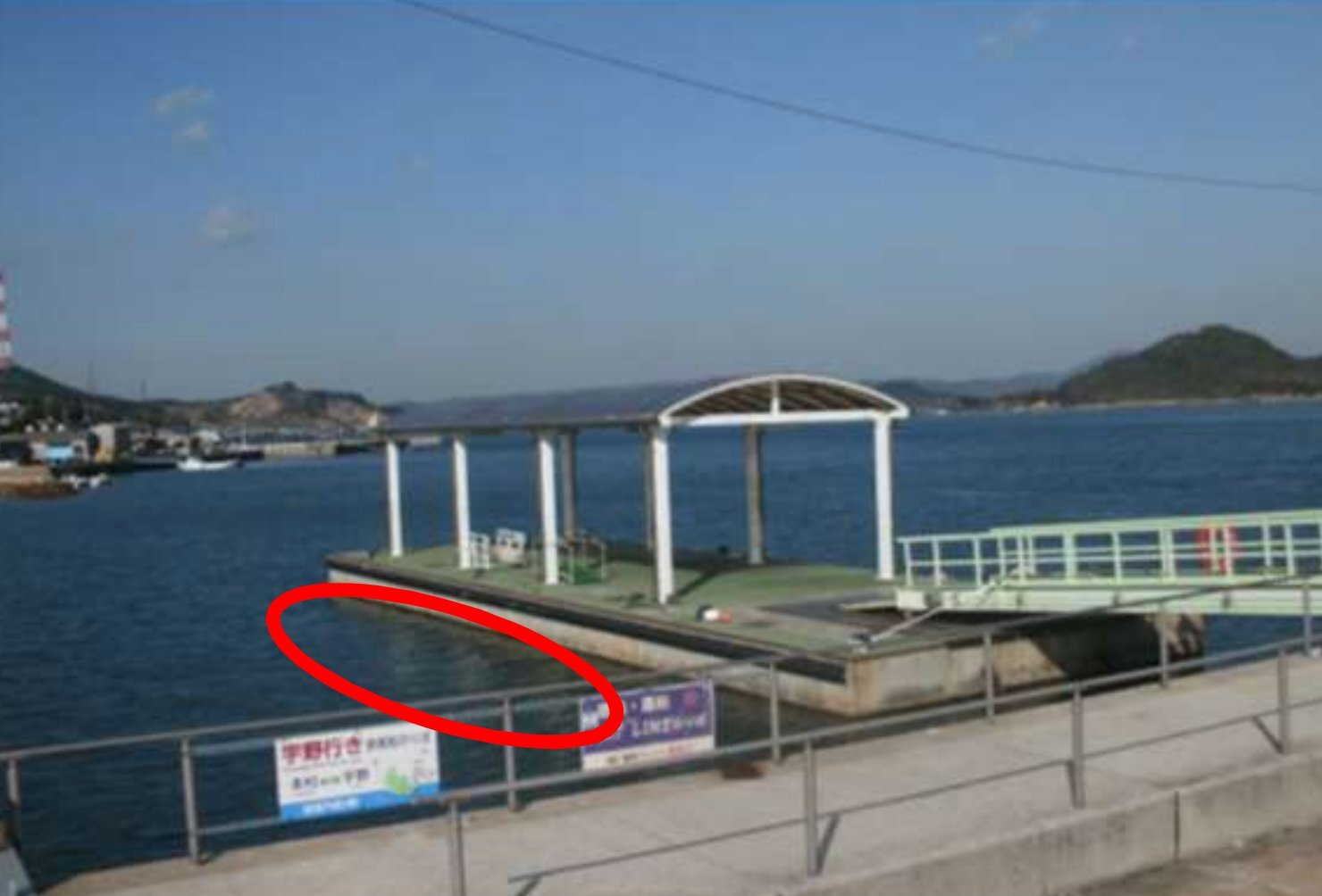 スポット 本村２号浮桟橋 の写真 1