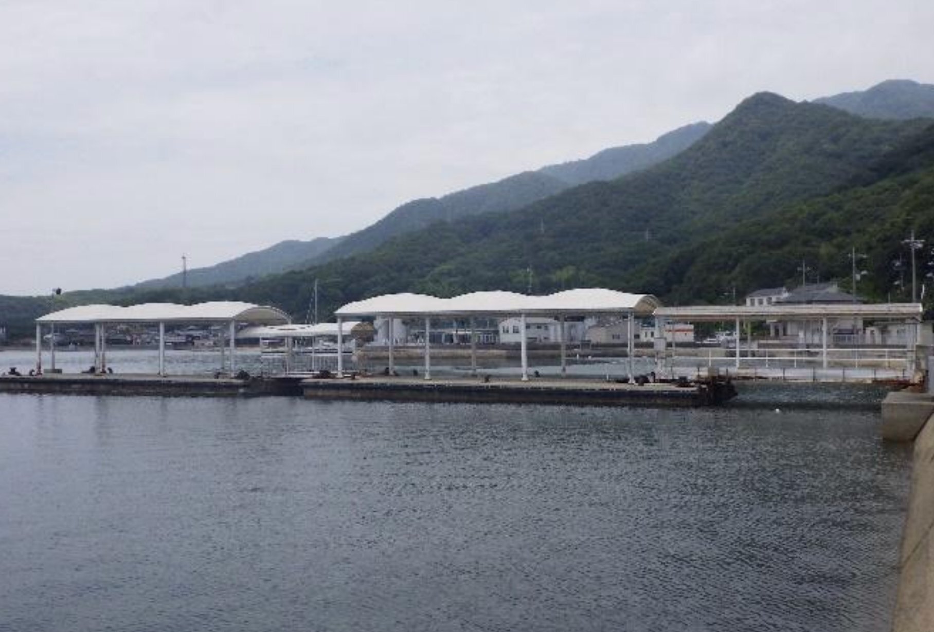スポット 草壁港浮桟橋（小豆島） の写真 2