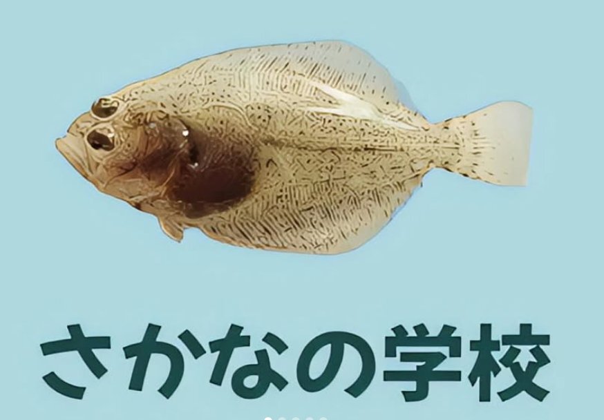 周辺情報 さかなの学校 の写真 1