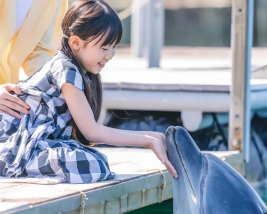 スポット 淡路じゃのひれアウトドアリゾート の写真 5