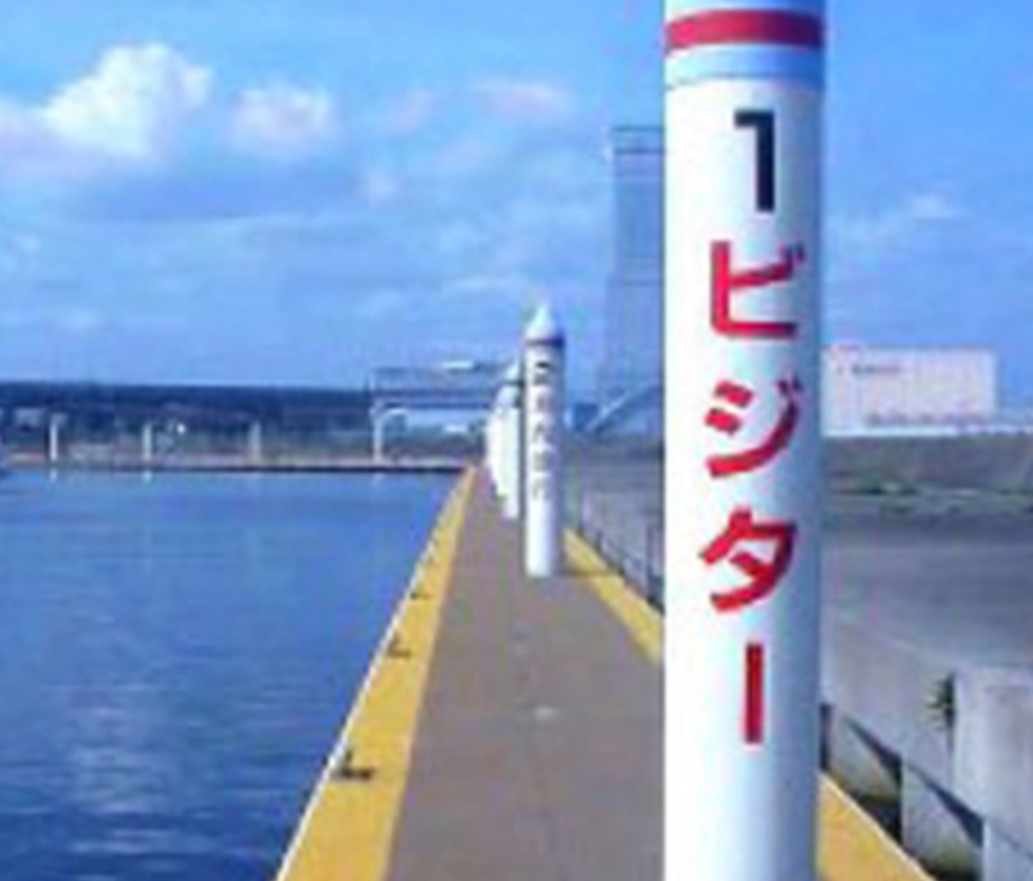 スポット いずみさの関空マリーナ の写真 1