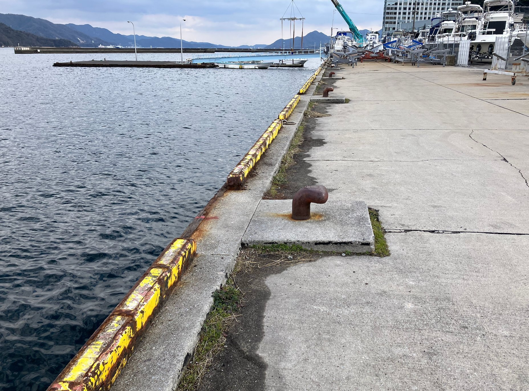 スポット 広島ベイマリーナ北側岸壁 の写真 3