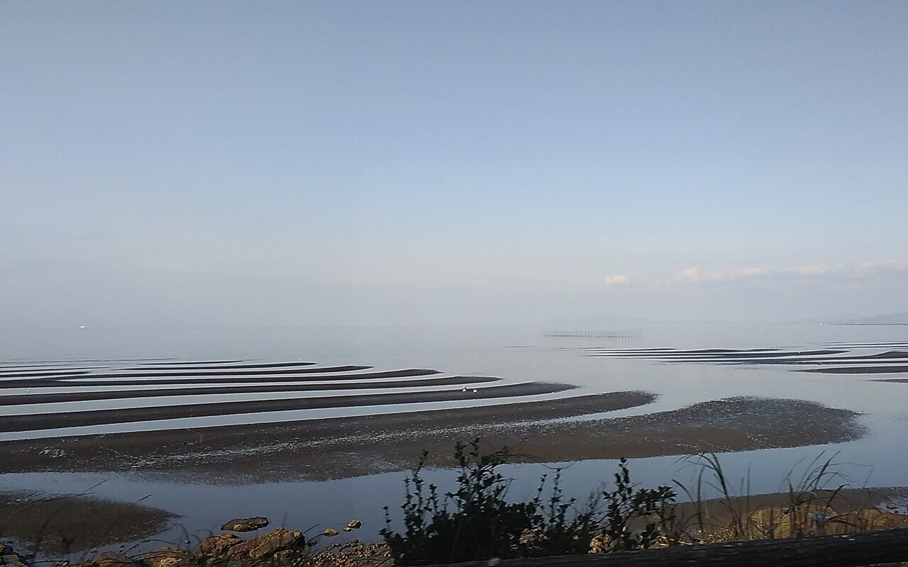 周辺情報 御輿来海岸 の写真 1
