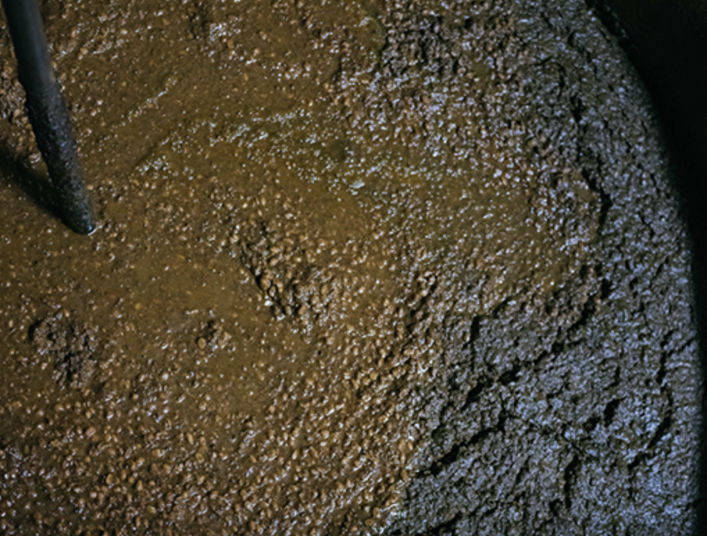 周辺情報 岡本醤油醸造場 の写真 3