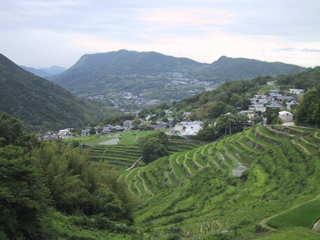 中山千枚田 の写真