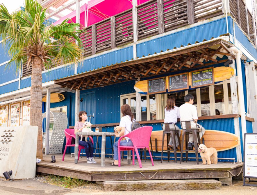 周辺情報 CORAL KITCHEN at cove の写真 2