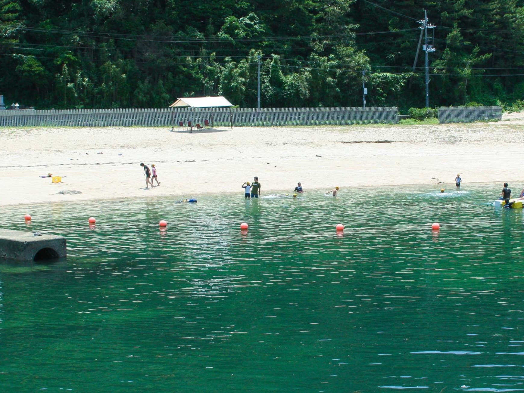 周辺情報 大木海水浴場 の写真 1