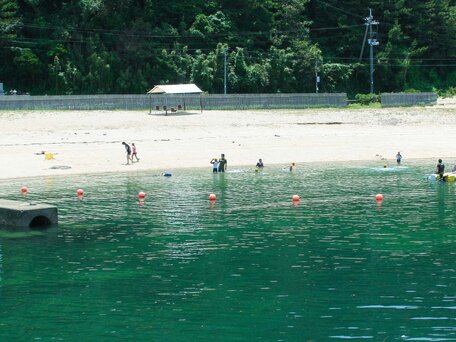 大木海水浴場 の写真